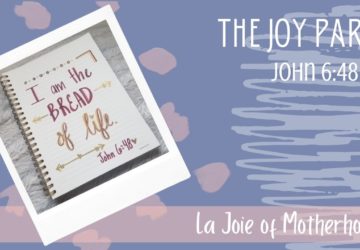 Daily Joy | John 6:48